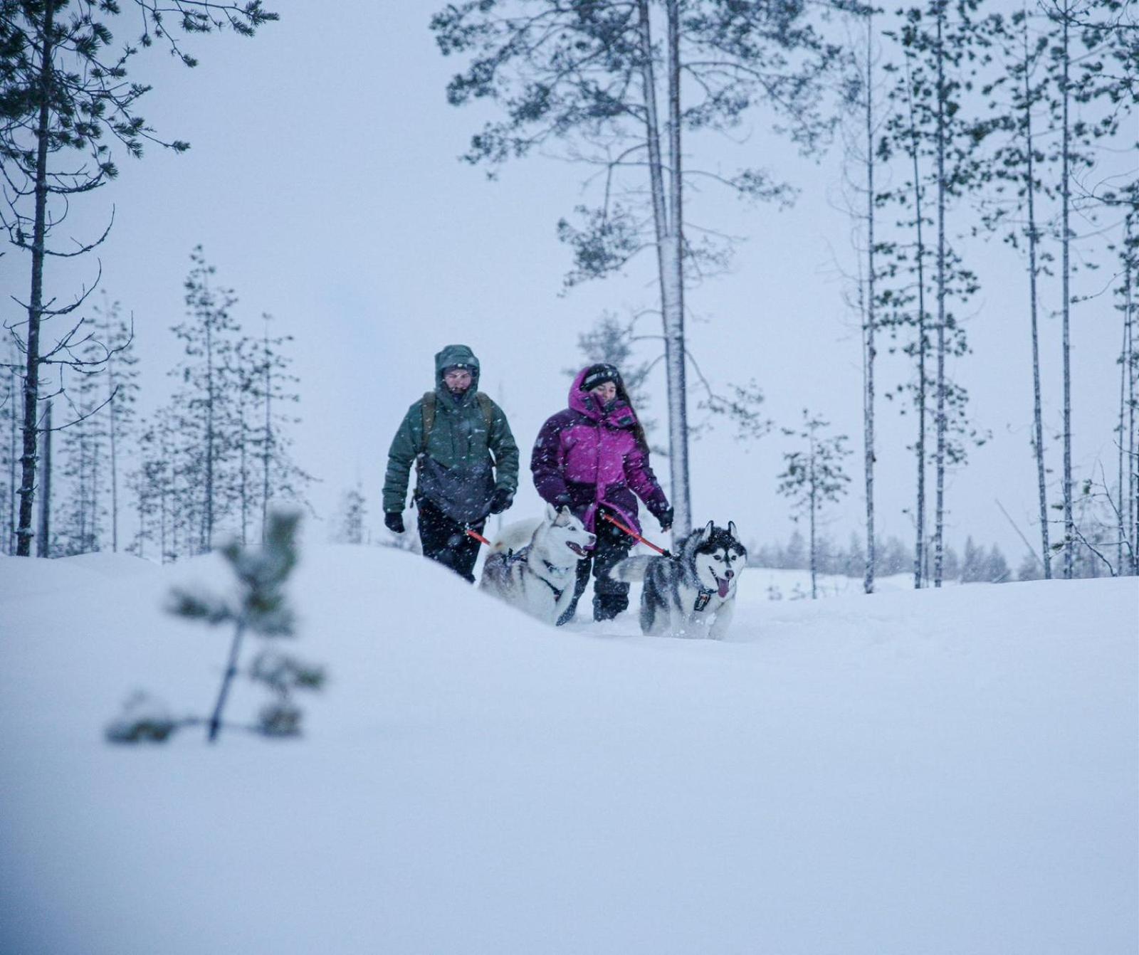Вилла Arctic Ranch Overkalix Экстерьер фото